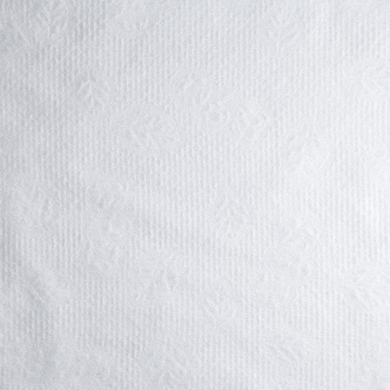 LUSSONI Ręczniki włókninowe BIO-EKO, 70 cm x 50 cm, 100 szt. #2